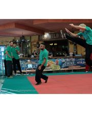 KMANTIS ASSOCIATION WUSHU ACADEMY - Roma immagine 7