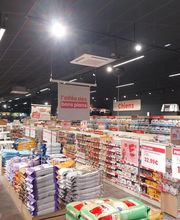 Animalis Brest image 5