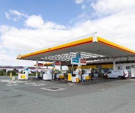 Shell Bild 7