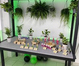 Greenzone - CBD Shop Bild 10