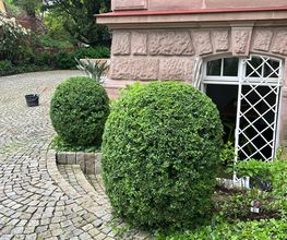Gartenservice Mark Miess Bild 18
