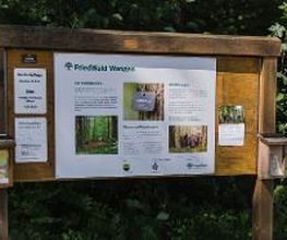 FriedWald Wangen Bild 3
