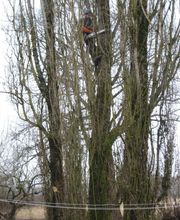 Vagne Service Verts image 4