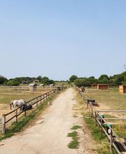 LES ECURIES DE SOBIDAIN image 2