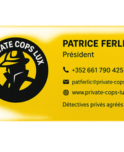 Private Cops Society image 1