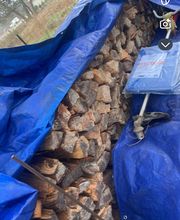 Philipot Sony image 1