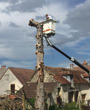 Brac José Elagage Abattage 18 image 10