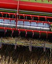 Freudiger Lohnunternehmen Bild 2