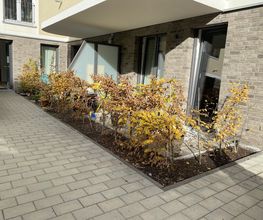 IMG_8016.JPEG