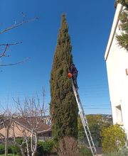 Elag'Frontignan image 13