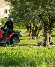 Pépinière Jolijardin image 14