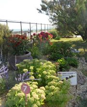 Golf Miniature SARL image 18