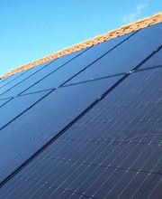 As Sunny Berry image 6