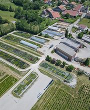 Pépinières Duchesne image 1