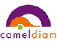 Camel Diam