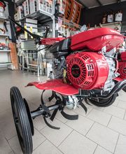 Gallery Professionale