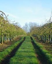 S . N Les Vergers De Muant SARL image 7