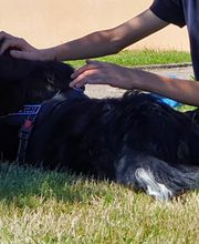 Les Psytrucs de Shana image 7