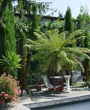 Steiner Gartenbau Sàrl Bild 1