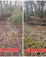 Lowson Paysage image 1