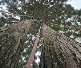 IMG-20250924-WA0014.jpg