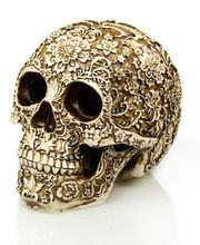 la ferme aux coleos image 3