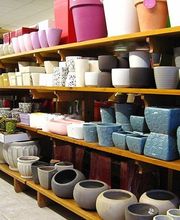 Viveiros Adoa, S.L. (Tameiga) imagen 4