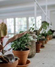 Fengshuimeisterei Bild 3