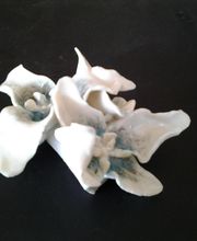 Reflets d'Ocres image 19