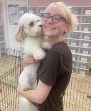 Fido Fido Dog Daycare & Boarding image 6