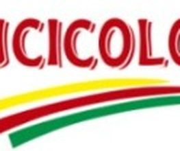 LUCICOLOR_LOGO.jpg