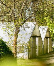 Aquilegia Im Garten Zuhause GmbH Bild 1