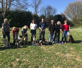 Croc-blanc image 6