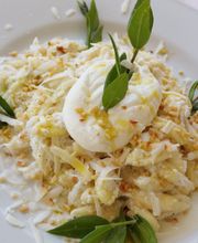 Gallery Professionale