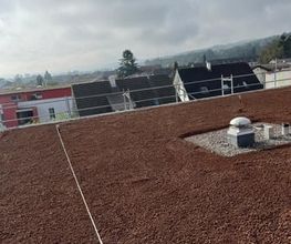 Swiss-Tec Flachdach Gmbh Bild 7