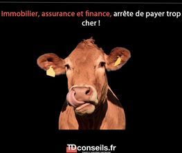 TD Conseils image 5