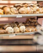 Abderhalden Kurt Bild 2