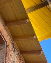 Miotto Jonathan image 17