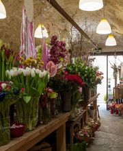 Art Et Nature image 13