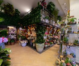 Gallery Professionale
