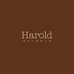 Harold Galerie-Photographe-Lyon