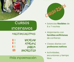 237189683-1-4ICXekNcFQ1756806174697.png