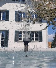 Mombelli & Co. Solothurn Bild 5