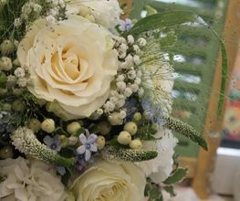 Blumen Baccara Ingolstadt Bild 5
