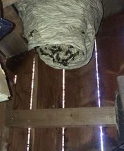 Action 3D Nuisibles image 13