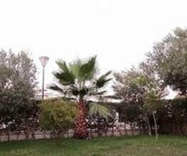 Villa alandalus imagen 6
