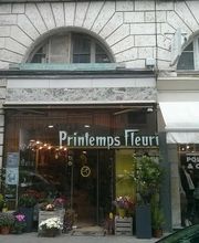 Printemps Fleuri image 1