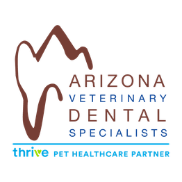 Arizona Veterinary Dental Specialists - Peoria