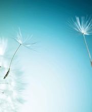 Pompes Funèbres et Marbrerie CRÉPET image 1