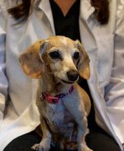 Smiles By Design image 4